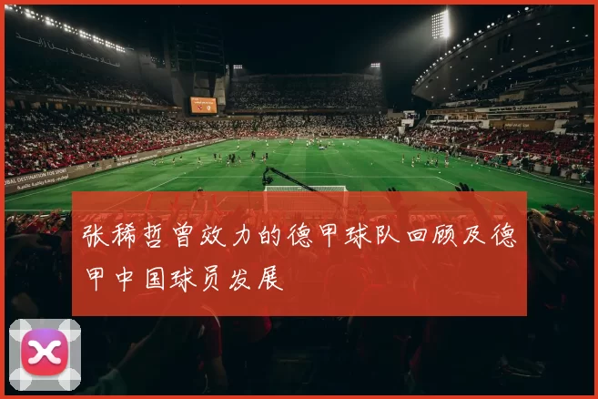 张稀哲曾效力的德甲球队回顾及德甲中国球员发展
