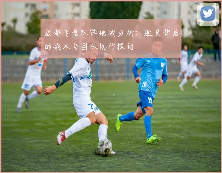 成都飞盘队阵地战分析：胜负背后的战术与团队协作探讨